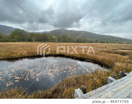曇りの尾瀬ヶ原 96974700