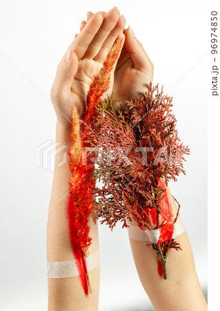 Concept of trees as a plannet vital resoruce. Vertical shot white background. Concept of trees as a plannet vital resoruce. Vertical shot white background. 96974850