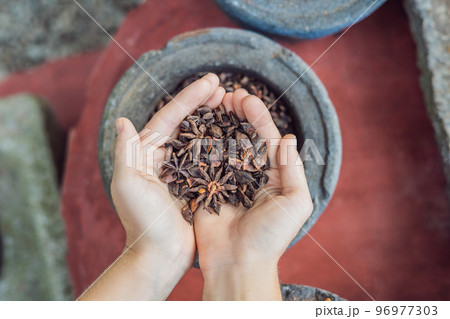 Badyan, anise in female hands against the backdrop of spices Badyan, anise in female hands against the backdrop of spices 96977303