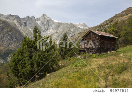 Alpine meadow not far from Fieschertal (Valais, Switzerland) 96977612