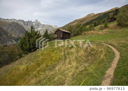 Alpine meadow not far from Fieschertal (Valais, Switzerland) 96977613