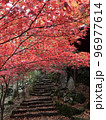 石段の紅葉 96977614