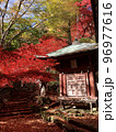大山　紅葉 96977616