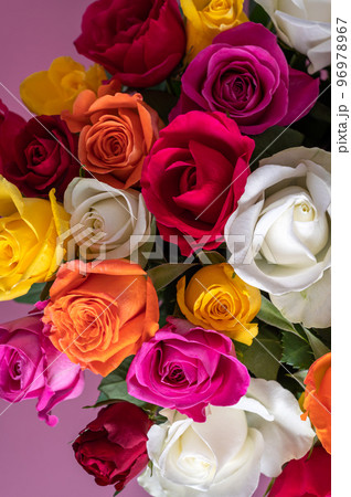 Bunch of colorful roses Bunch of colorful roses 96978967