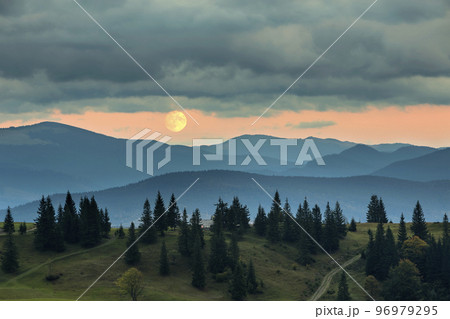 Covered with mist mountains at moonrise, big moon on bright orange sky over tall fir-trees. 96979295
