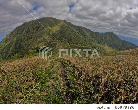 子三瓶山からの男三瓶山 子三瓶山からの男三瓶山 96979336