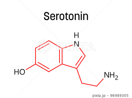 Serotonin molecular structure. Serotonin is monoamine neurotransmitter modulating mood, cognition, reward, learning, memory and other functions. Vector structural formula of chemical compound with red Serotonin molecular structure. Serotonin is monoamine neurotransmitter modulating mood, cognition, reward, learning, memory and other functions. Vector structural formula of chemical compound with red 96989305