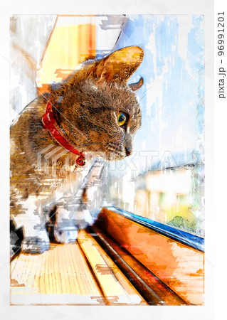 スケッチ風 猫 ネコ ねこ キジトラ グレー 雌 メス 雌ねこ 雌ネコ 元気 かわいい 癒し スケッチ風 猫 ネコ ねこ キジトラ グレー 雌 メス 雌ねこ 雌ネコ 元気 かわいい 癒し 96991201