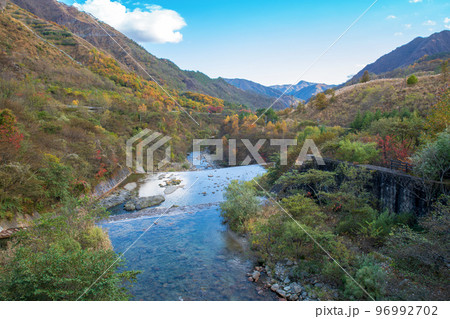 あかがねばしから下流の眺め 松木川渓谷 足尾町 秋の風景 あかがねばしから下流の眺め 松木川渓谷 足尾町 秋の風景 96992702