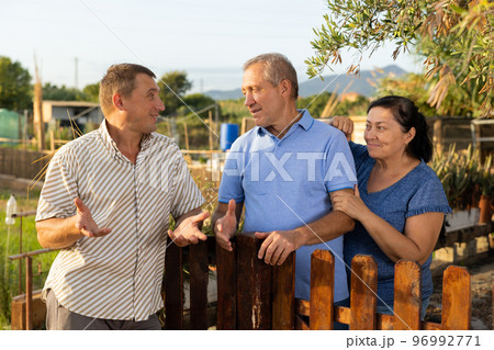 Three neighbours farmers talking together near wooden fence in garden Three neighbours farmers talking together near wooden fence in garden 96992771