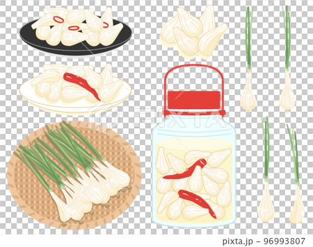 らっきょうとラッキョウの甘酢漬けのイラストのセット 96993807