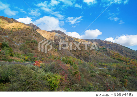 銅親水公園からの眺め 山の自然回復力 足尾町 秋の風景 銅親水公園からの眺め 山の自然回復力 足尾町 秋の風景 96994495