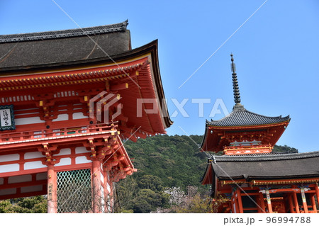 日本の京都府の京都市 春の季節の清水寺 美しい桜と重要文化財の仁王門と西門と三重塔 日本の京都府の京都市 春の季節の清水寺 美しい桜と重要文化財の仁王門と西門と三重塔 96994788