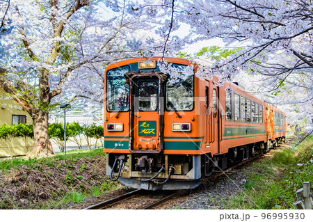 青森県 津軽鉄道 ~桜満開の芦野公園~ 青森県 津軽鉄道 ~桜満開の芦野公園~ 96995930