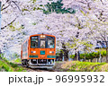 青森県 津軽鉄道　～桜満開の芦野公園～ 96995932