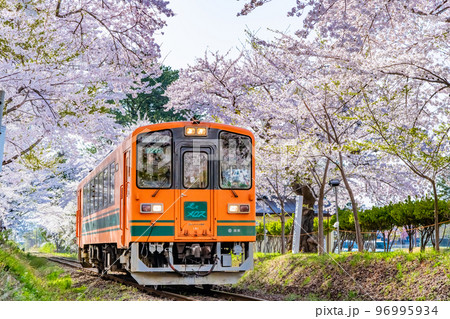 青森県 津軽鉄道　～桜満開の芦野公園～ 96995934