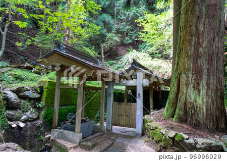 【近畿三十六不動霊場】第二十六番　無動寺　千日回峰行者が水を汲む閼伽井3　滋賀県大津市 96996029