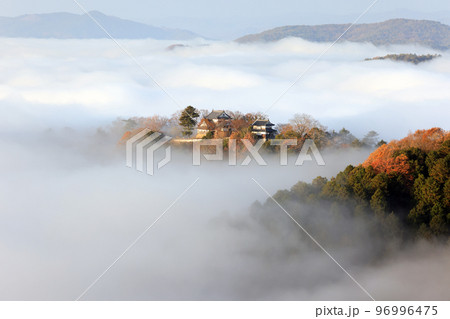 天空の城7449 96996475