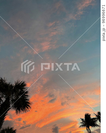 Beautiful coconut palm tree with amazing vivid sky at sunset 96996671