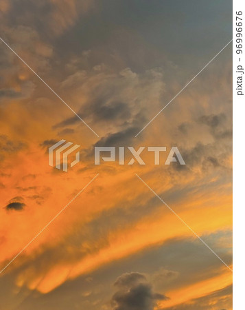 Beautiful coconut palm tree with amazing vivid sky at sunset 96996676