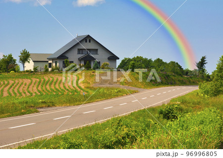 丘の町・美瑛の美しい田園風景 96996805