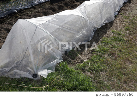 風よけ栽培 不織布 風よけ栽培 不織布 96997560
