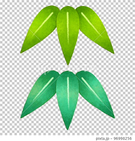 Bamboo leaf  96998256