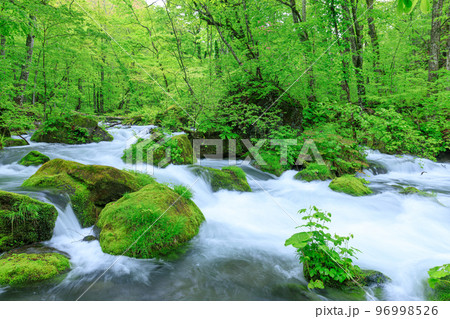青森_新緑の奥入瀬渓流の絶景 96998526