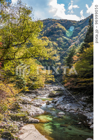 《岐阜県》恵那市上矢作町　紅葉の上村川 96999050