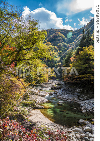 《岐阜県》恵那市上矢作町 紅葉の上村川 《岐阜県》恵那市上矢作町 紅葉の上村川 96999051