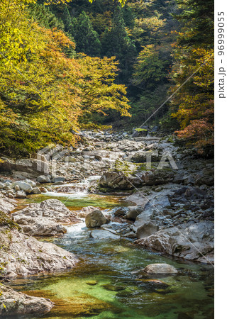《岐阜県》恵那市上矢作町 紅葉の上村川 《岐阜県》恵那市上矢作町 紅葉の上村川 96999055