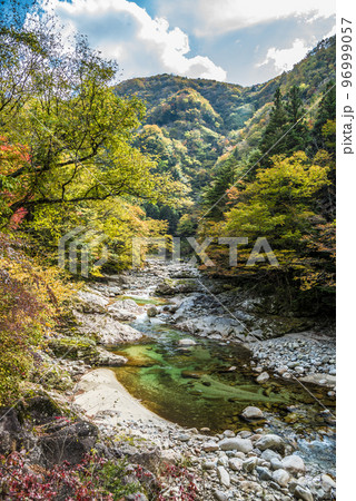 《岐阜県》恵那市上矢作町　紅葉の上村川 96999057