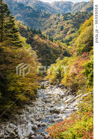 《長野県》下伊那郡平谷村五軒小屋 紅葉の平谷川 《長野県》下伊那郡平谷村五軒小屋 紅葉の平谷川 96999068