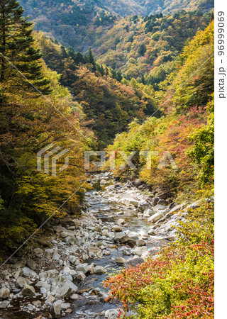 《長野県》下伊那郡平谷村五軒小屋　紅葉の平谷川 96999069