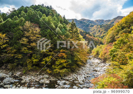 《長野県》下伊那郡平谷村五軒小屋　紅葉の平谷川 96999070