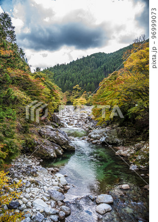 《長野県》下伊那郡平谷村五軒小屋　紅葉の平谷川 96999073
