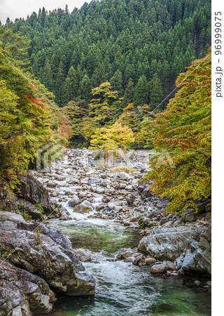 《長野県》下伊那郡平谷村五軒小屋 紅葉の平谷川 《長野県》下伊那郡平谷村五軒小屋 紅葉の平谷川 96999075