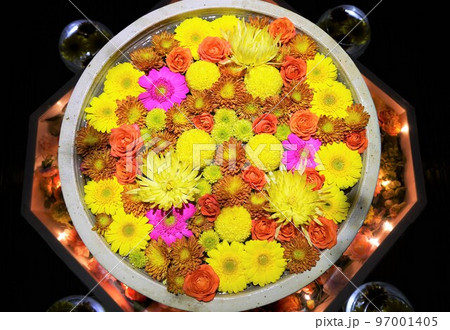 花手水, イルミネーション, フラワー, 花, カラフル, アレンジメント, 沢山の花, 手水舎, 花手水, イルミネーション, フラワー, 花, カラフル, アレンジメント, 沢山の花, 手水舎, 97001405