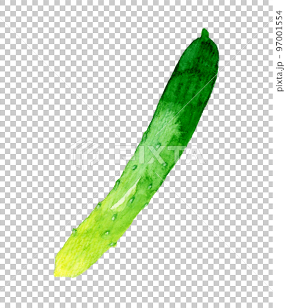きゅうり　夏野菜の手描き水彩イラスト素材 97001554