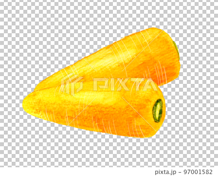 夏季蔬菜胡蘿蔔手繪水彩插畫素材 97001582