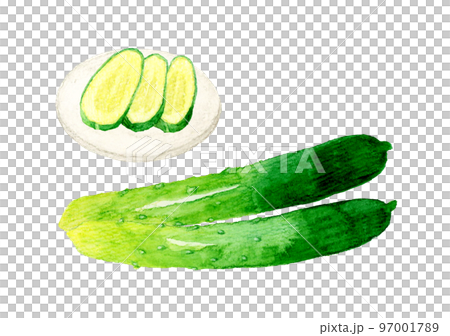 黃瓜和鹹菜夏季蔬菜&日本手繪水彩插畫素材 97001789