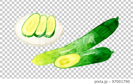 黃瓜和鹹菜夏季蔬菜&日本手繪水彩插畫素材 97001790