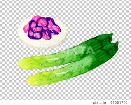 黃瓜和鹹菜夏季蔬菜&日本手繪水彩插畫素材 97001791