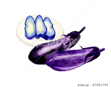 なすと漬け物 夏野菜＆和食の手描き水彩イラスト素材のイラスト素材