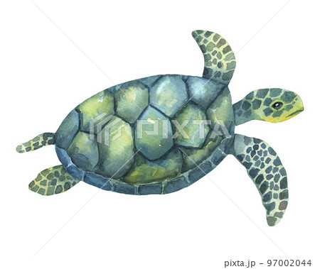 Blue and green watercolor swimming turtle isolated on white background. Hand drawn illustration ocean or underwater animal 97002044