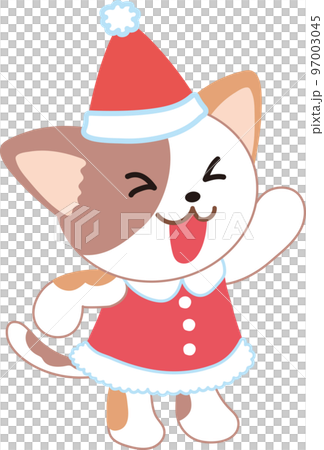 cat in santa suit 97003045