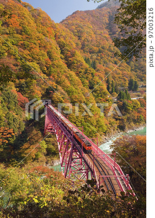 紅葉の黒部峡谷鉄道の鉄橋とトロッコ 紅葉の黒部峡谷鉄道の鉄橋とトロッコ 97003216