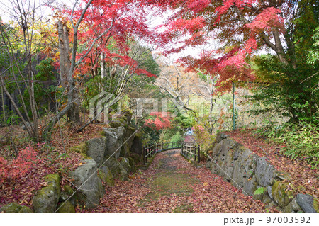 親水公園と黒川温泉の紅葉 親水公園と黒川温泉の紅葉 97003592
