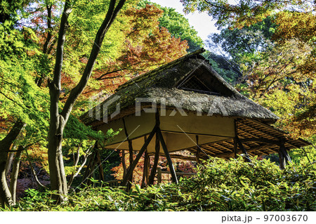 東京都　六義園（りくぎえん）　つつじ茶屋の紅葉　特別名勝 97003670