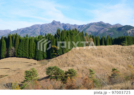 五ヶ所高原三秀台ひめゆり公園 五ヶ所高原三秀台ひめゆり公園 97003725